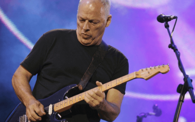 Fender Stratocaster David Gilmour. Opinioni e Recensioni Signature Strat
